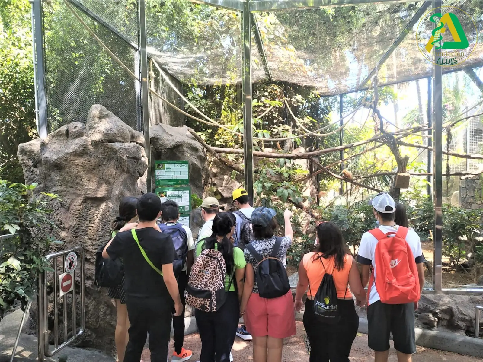 Actividad del Programa de Autonomía en Aldis